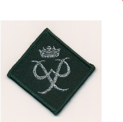 Duke of Edinburgh Silver Award