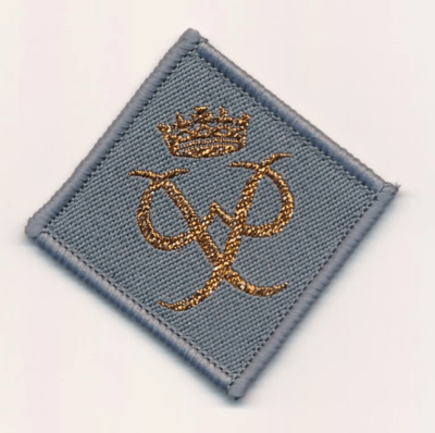 Duke of Edinburgh Bronze Award