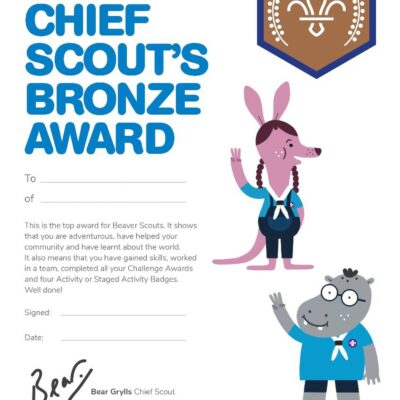 Chief Scout's Bronze Award Certificate - Pack of 10