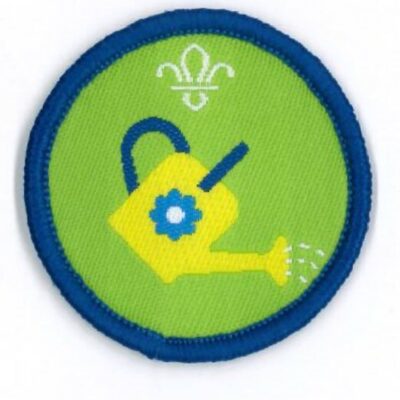 Squirrel Scout Let it Grow Activity Badge