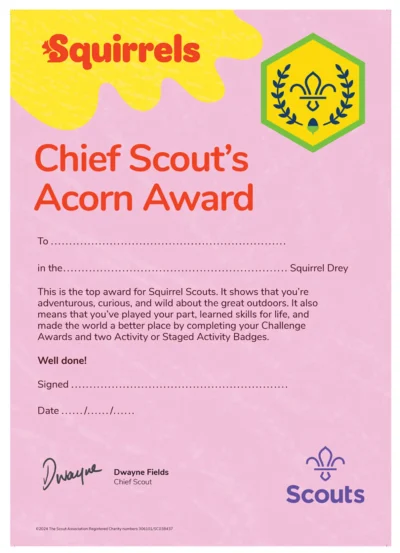 Chief Scout's Acorn Award Certificate - Pack of 10